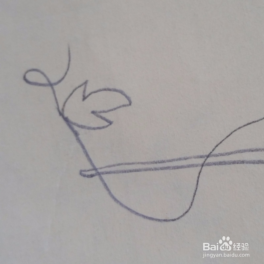 儿童简笔画牵牛花