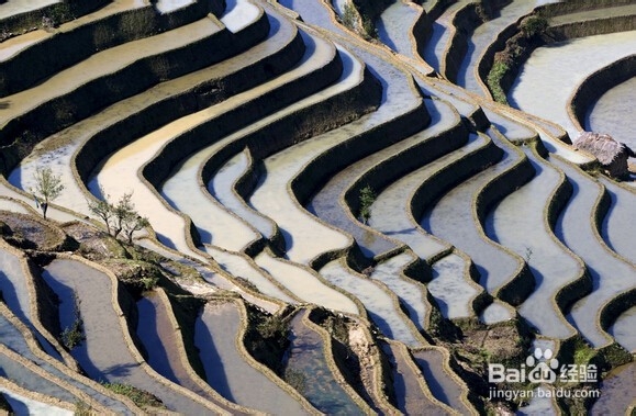 如何安排好每天的时间！（小攻略）