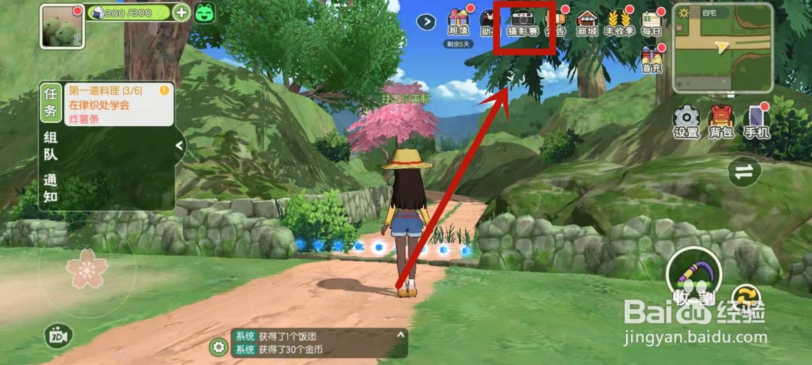 怎么查看小森摄影大赛参选信息