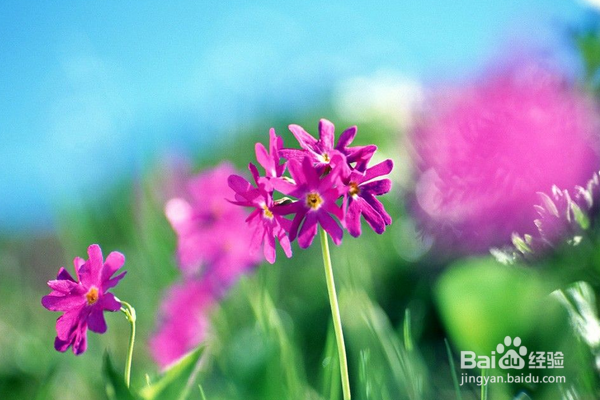 怎样和舍友搞好关系