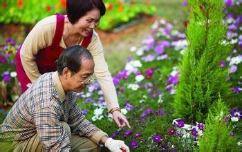 下肢深静脉血栓形成术后病人的健康指导