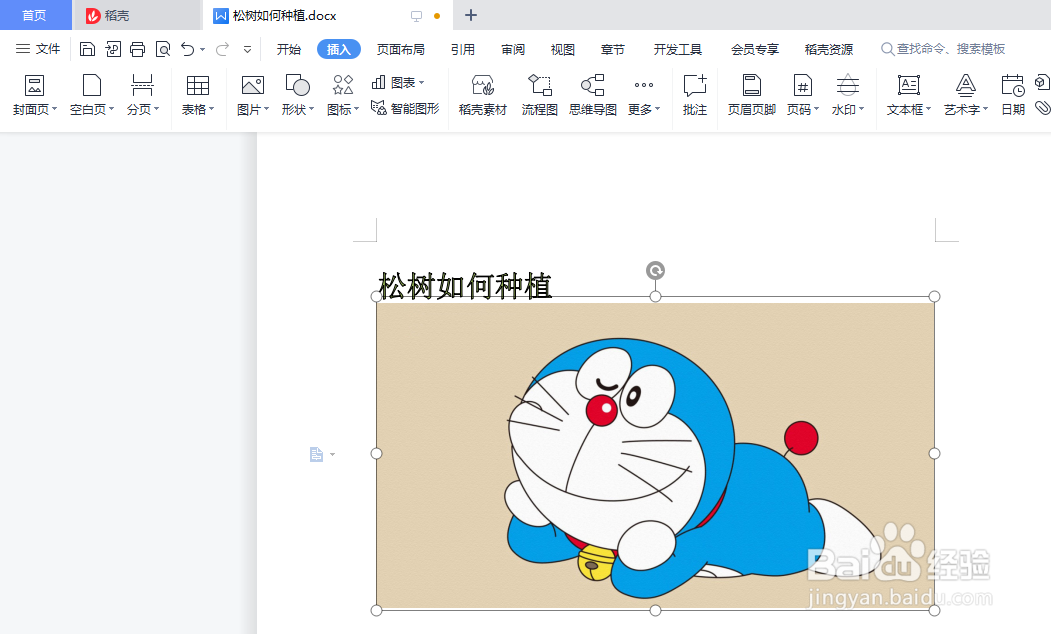 word文档如何插图