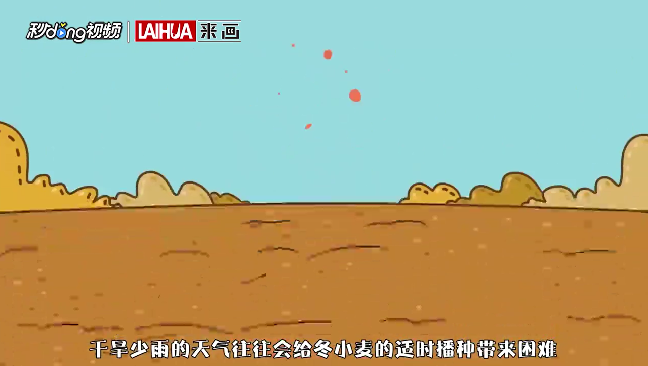 节气寒露有什么特征