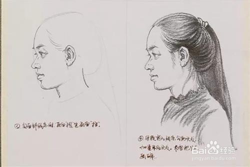 人体头部速写如何画好