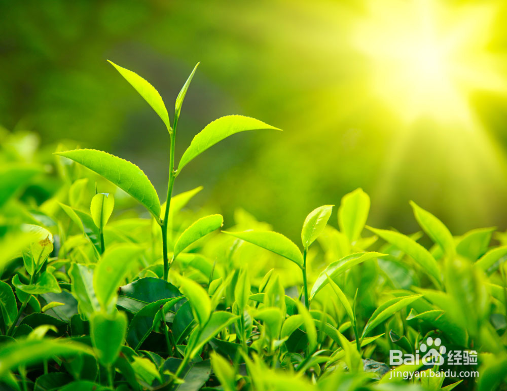 把不可能变为可能