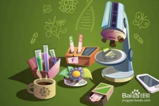 如何高效的记忆新的知识点？