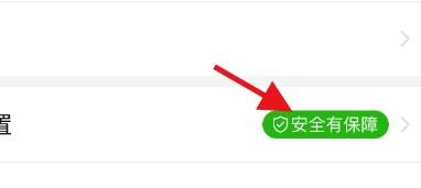 拼多多如何关闭免密支付功能#校园分享#
