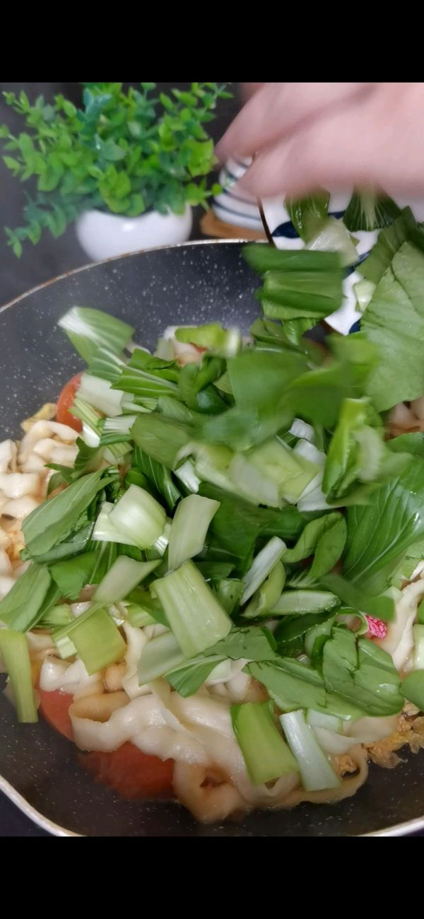 西红柿鸡蛋焖面