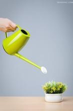 如何给绿植浇水?