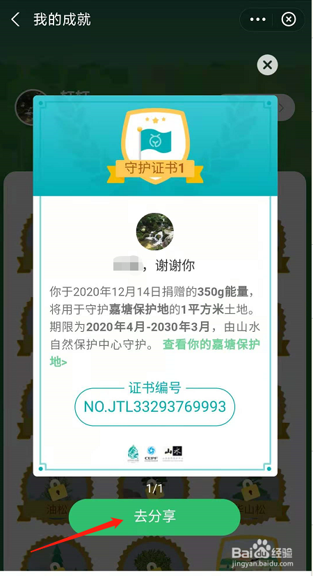 蚂蚁森林怎么种树