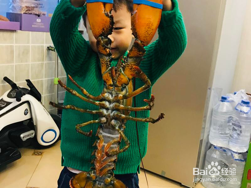 芝士奶油焗龙虾🦞的做法