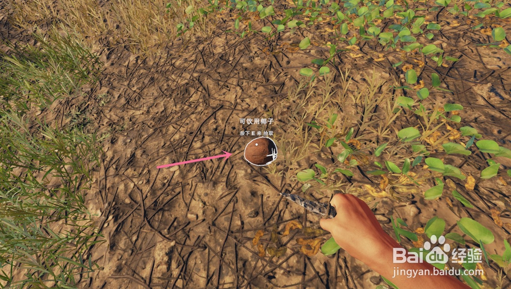 深海搁浅里的椰子有什么吃法？