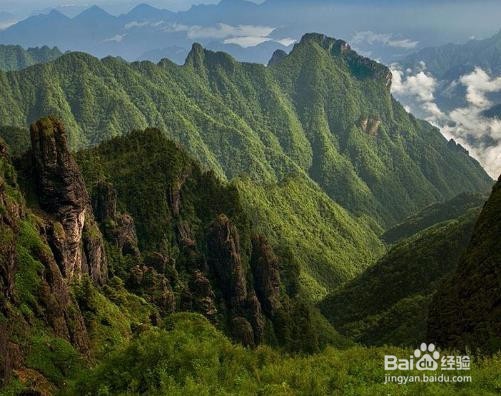 神农架的景区如何游玩