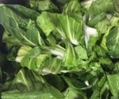 如何做老油条炒青菜