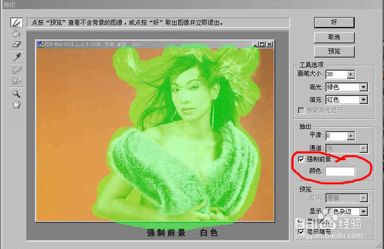 ps怎样抠毛发动物和头发3种方法