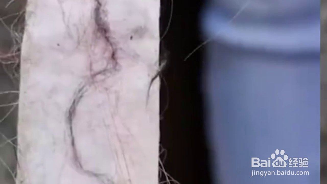 如何掌握生活小技巧