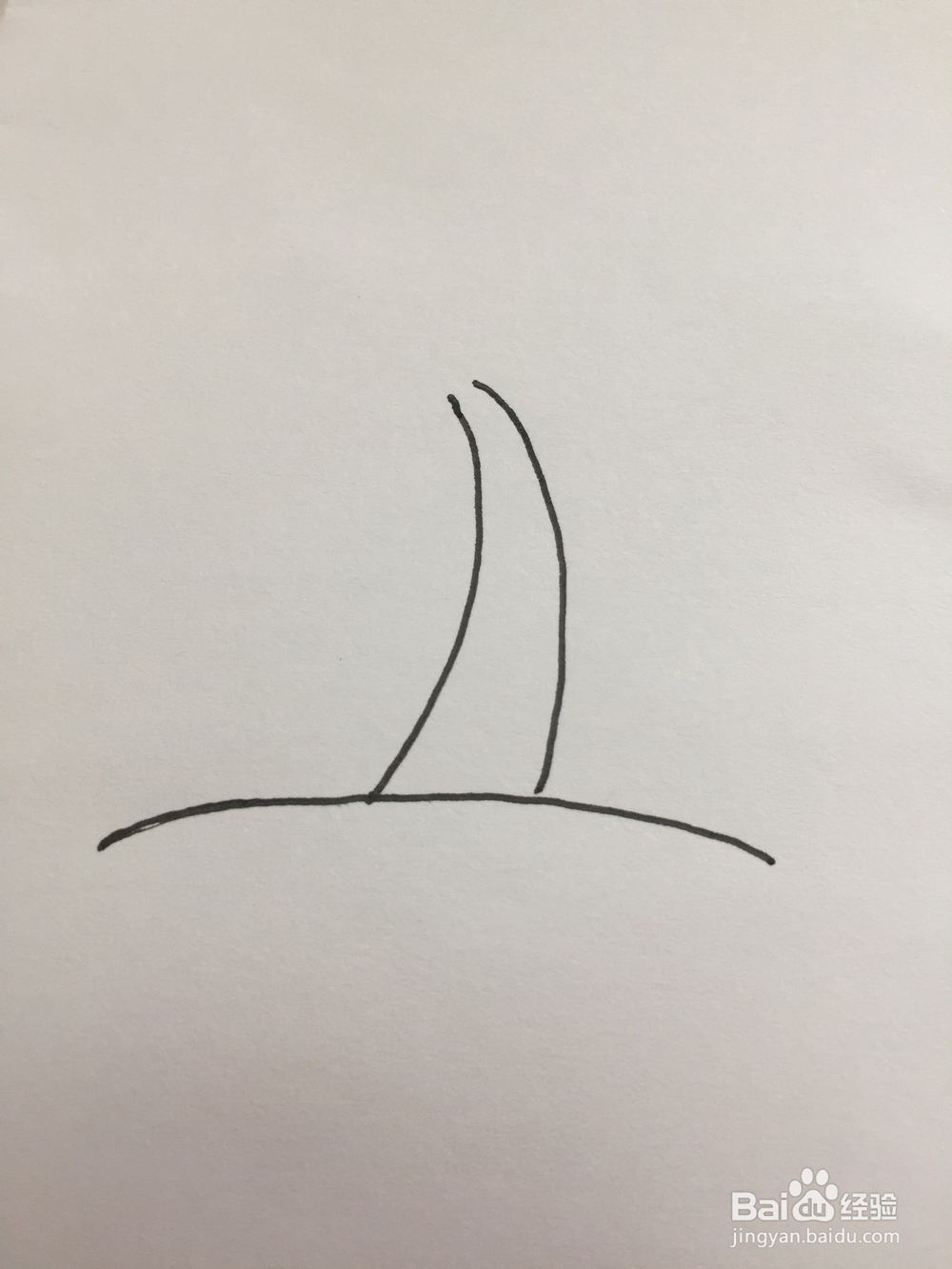 椰子树的简笔画