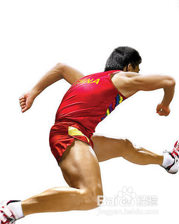 头发掉的厉害原因