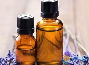 夏天怎样防止蚊子叮咬?