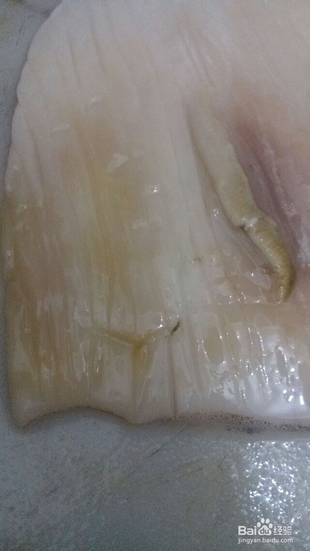 鱿鱼切花怎么做鱿鱼切花形技巧