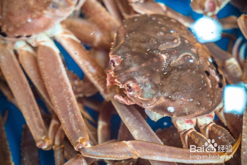 大学生游韩国简易攻略32