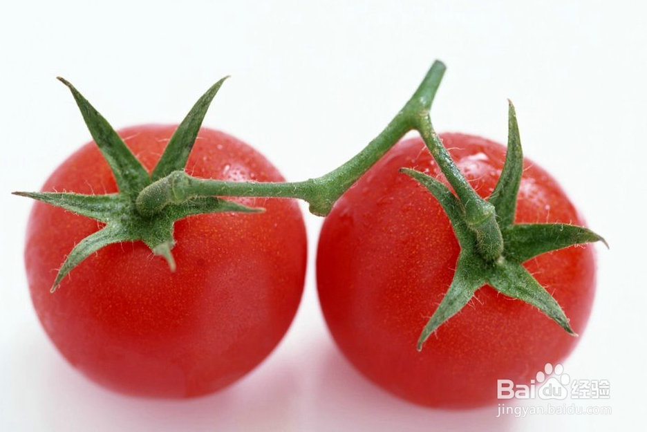 <b>西红柿的食用功效有哪些</b>