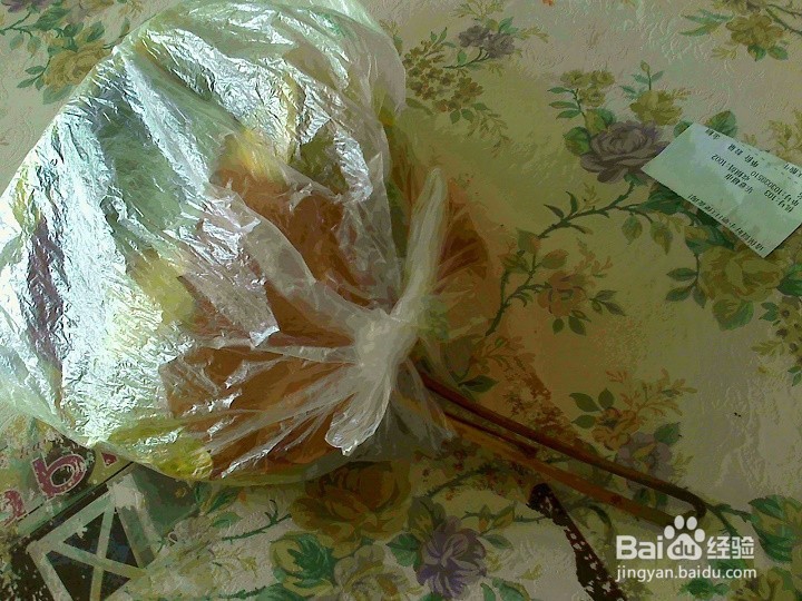 怎样保存好采集的落叶