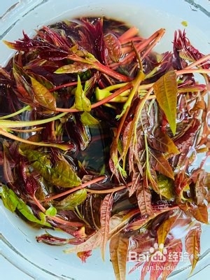 香椿煎鸡蛋的做法