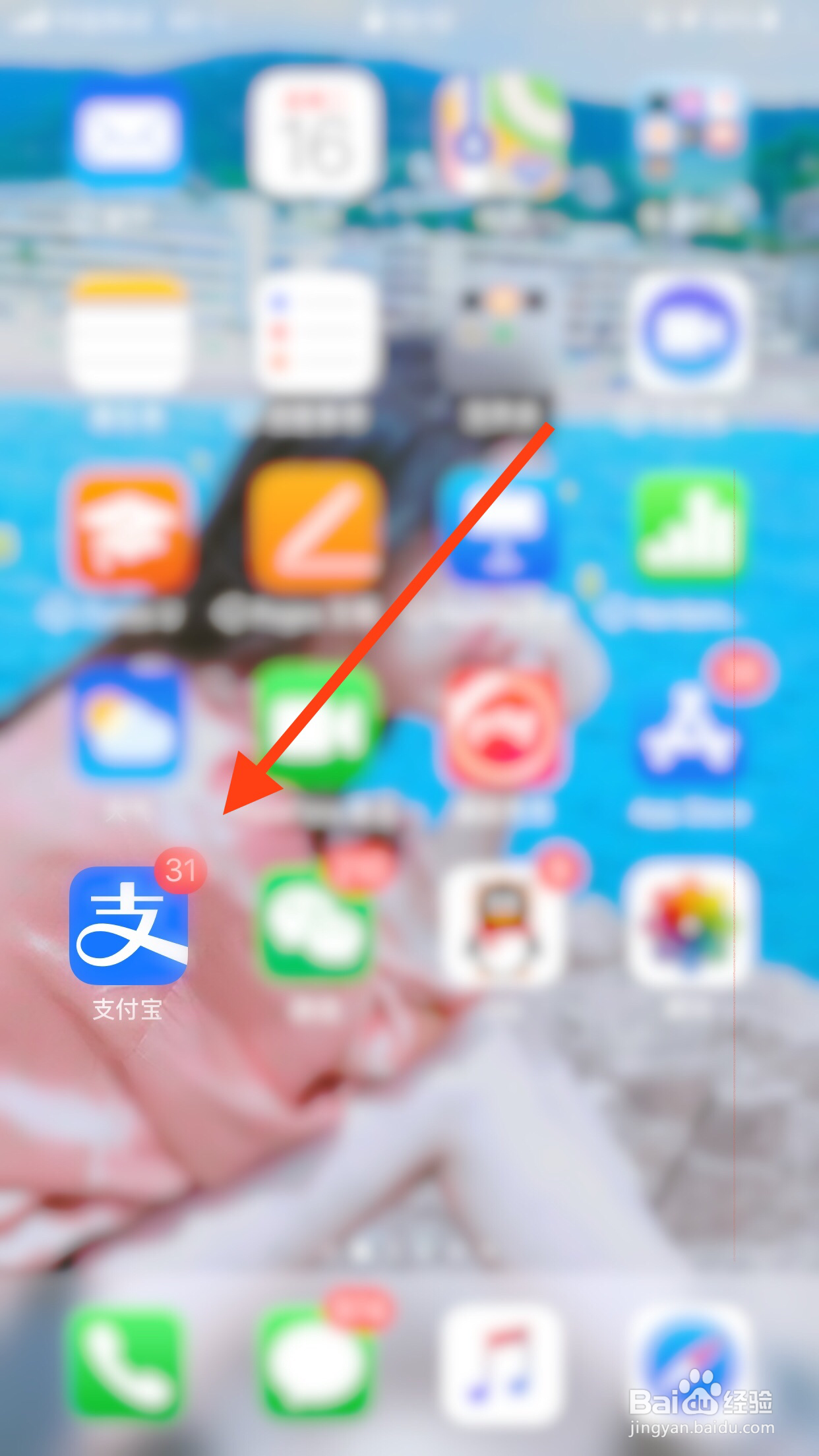 如何使用支付宝查询快递单号