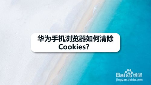 华为手机浏览器如何清除Cookies