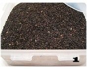 米油让黑芝麻糊更香浓——【浓香黑芝麻糊】