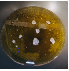 椒盐蘑菇-超好吃的下酒菜