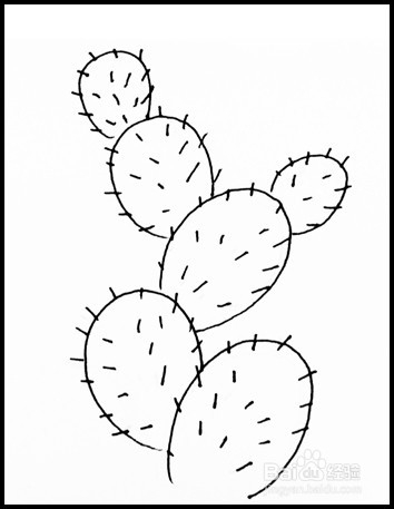 怎样画简笔画（花卉）：[6]仙人掌
