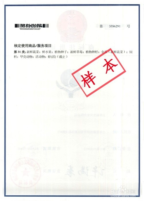 一只蝉手把手教你如何避免网上买商标被骗