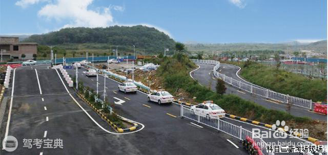 科目三直线行驶,前方突然窜出一只狗,怎么办?