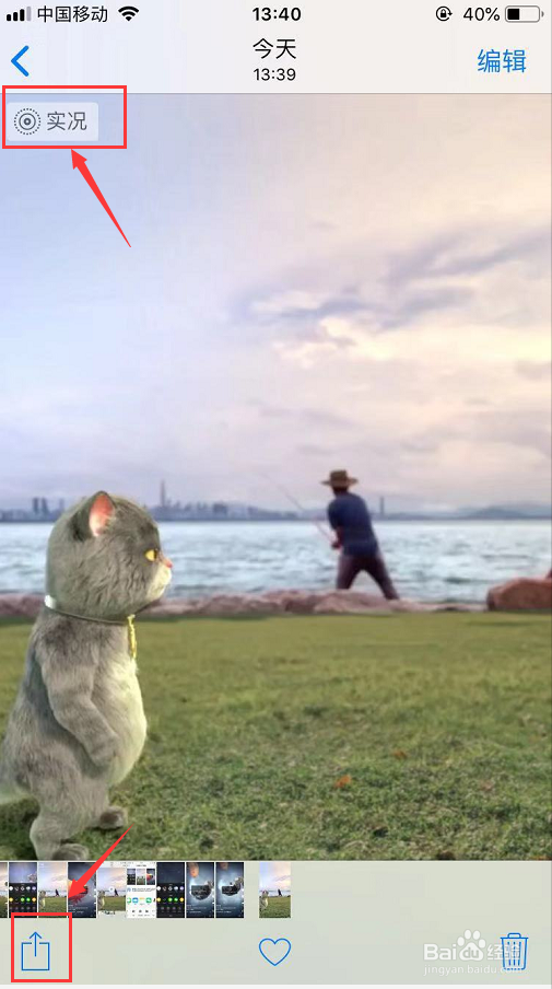 苹果怎么设置动态壁纸