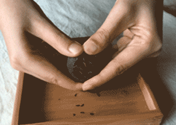 最强小青柑冲泡方法大全!(收藏)