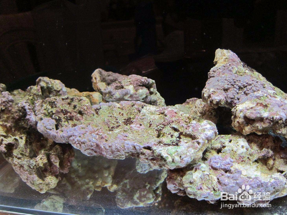 活石变臭石怎么处理