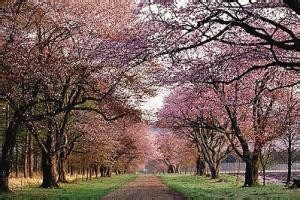 高考大学的选择…