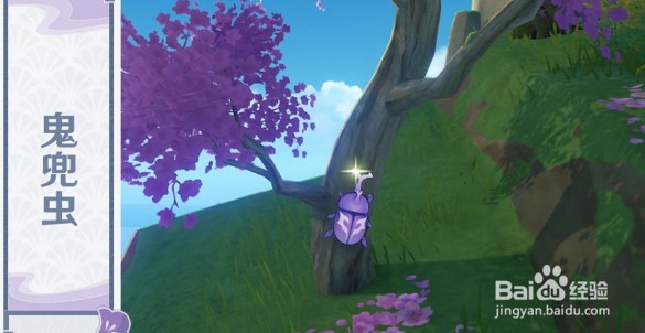 原神稻妻特色动物有哪些