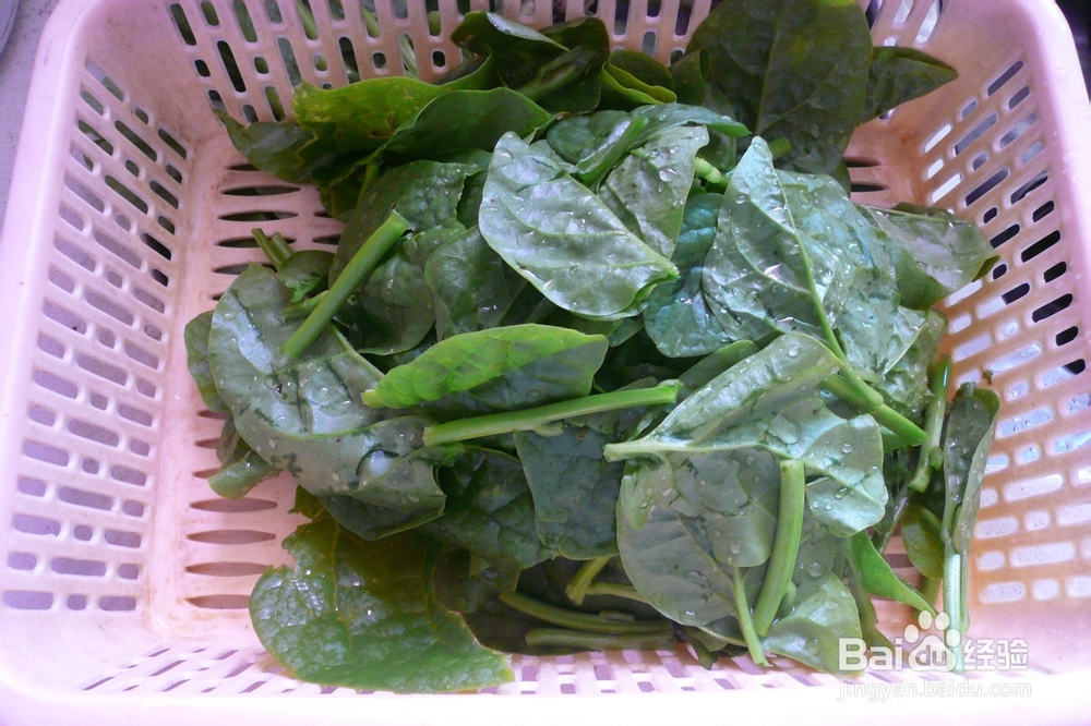 【夏日菜蔬】清炒木耳菜