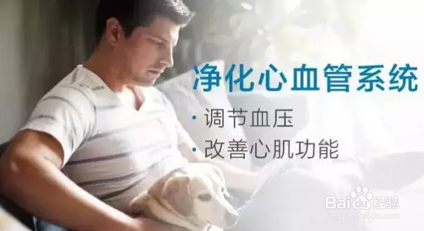 负离子保障心脏健康,解决心率不齐怎么办难题