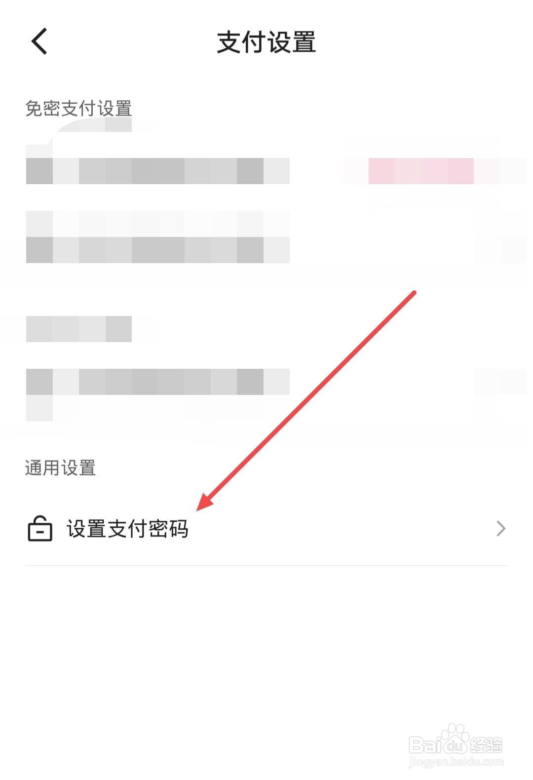 在快手极速版中，如何设置支付密码