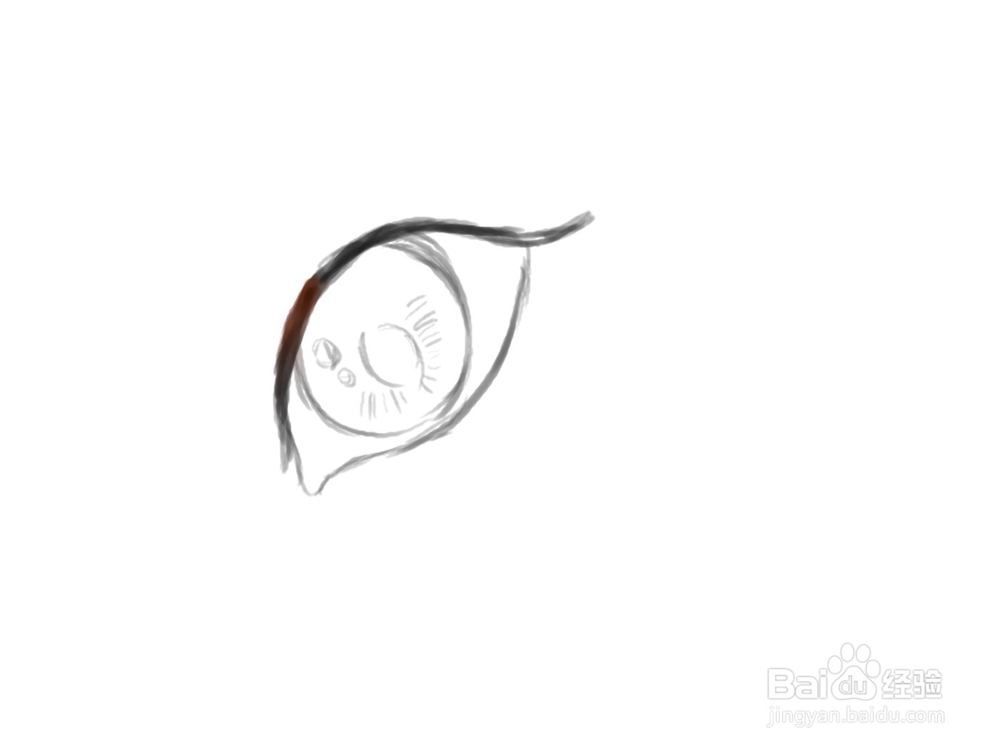 画2.5次元眼睛教程【初