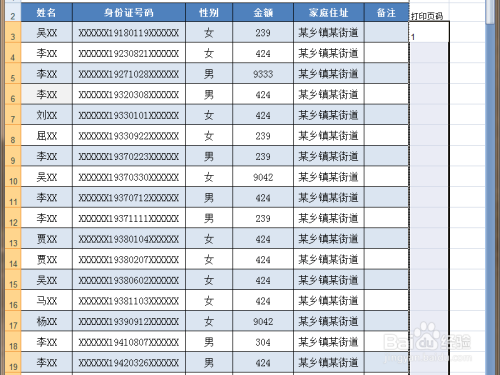 用“分类汇总”功能为电子表格生成“每页小计”