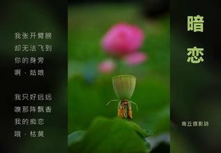 暗恋一个人该何去何从