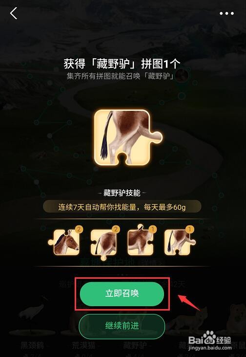 蚂蚁森林里的小动物如何获得