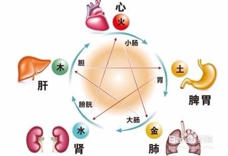 五声对五脏声音大的人真的健康吗 百度经验 五声对五脏声音大的人真的健康吗 百度经验