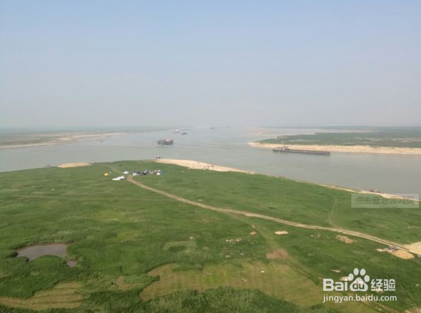 鄱阳湖吴城观鸟攻略