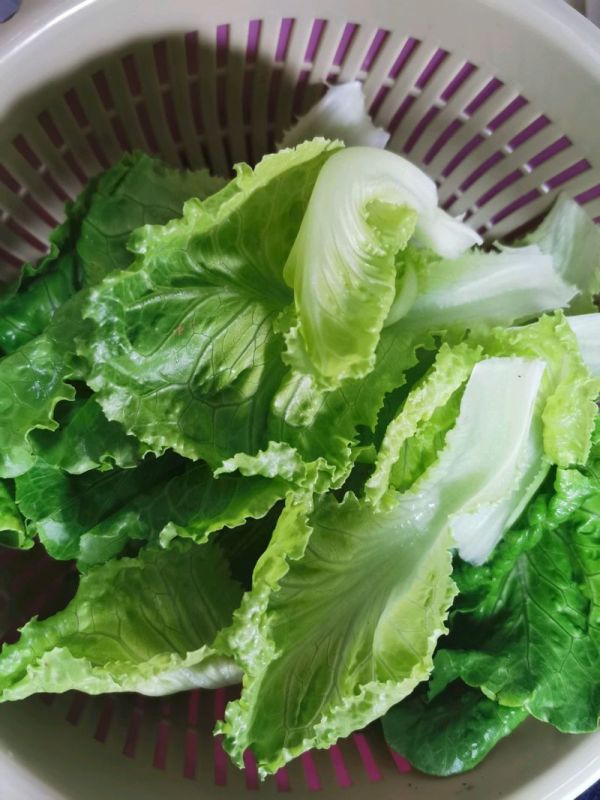 蒜蓉蔬菜卷煎饼